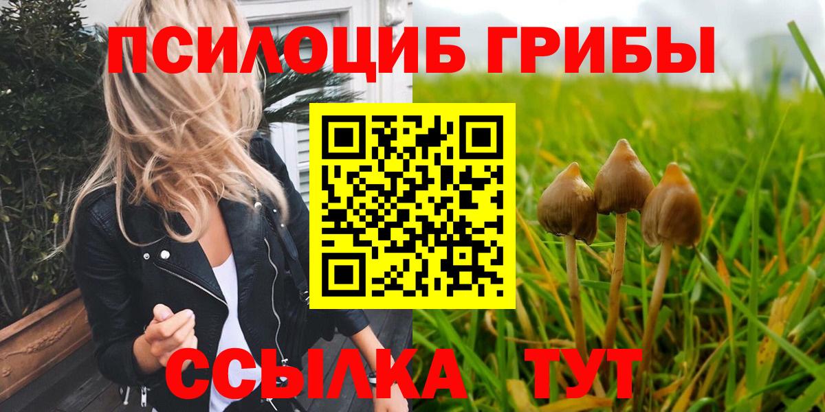 Галлюциногенные грибы мухоморы Ликино-Дулёво