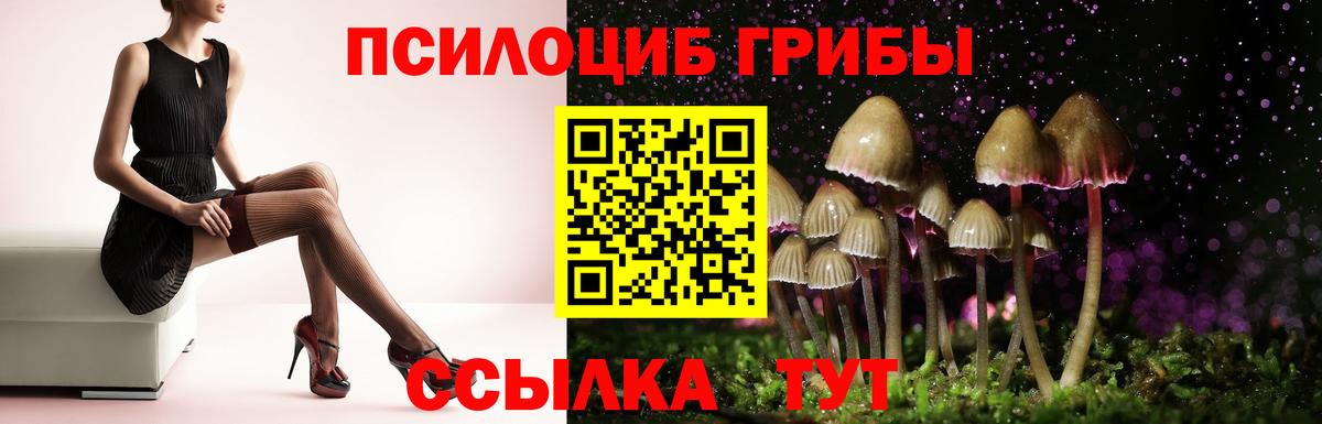 Ликино-Дулёво  как найти   Вход с VPN  Псилоцибиновые грибы Cubensis 